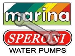 Ремонт насосов Marina и Speroni